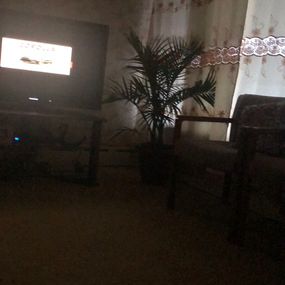 Meet your Posher, Astrid - Picture 1 of 1